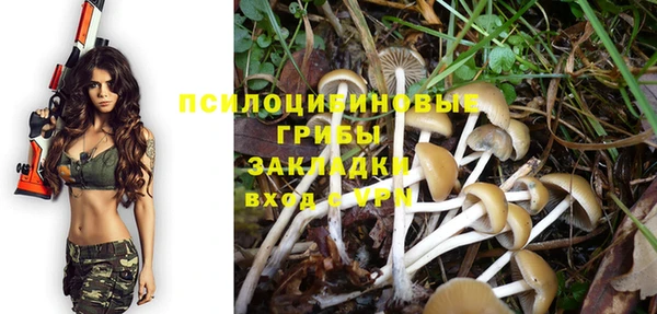 амфетамин Алексеевка