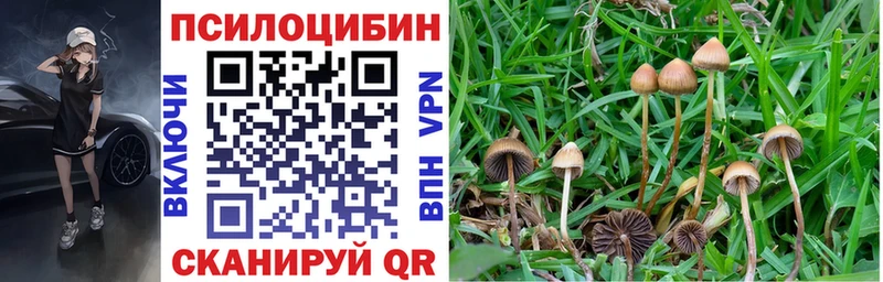 Псилоцибиновые грибы ЛСД Пикалёво